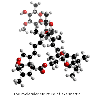 The molecular structure of avermectin