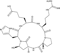 Argadin