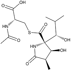 Lactacystin